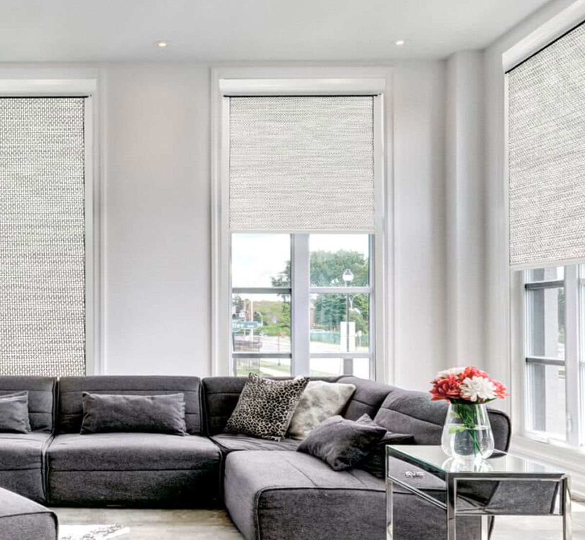 Roller Shades